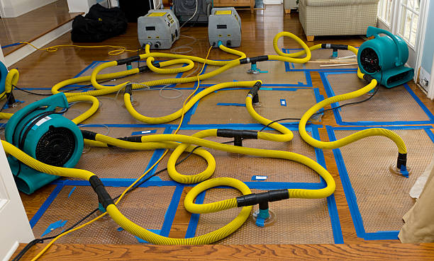 Professional Water Damage Repair technician working in Manhattan, KS